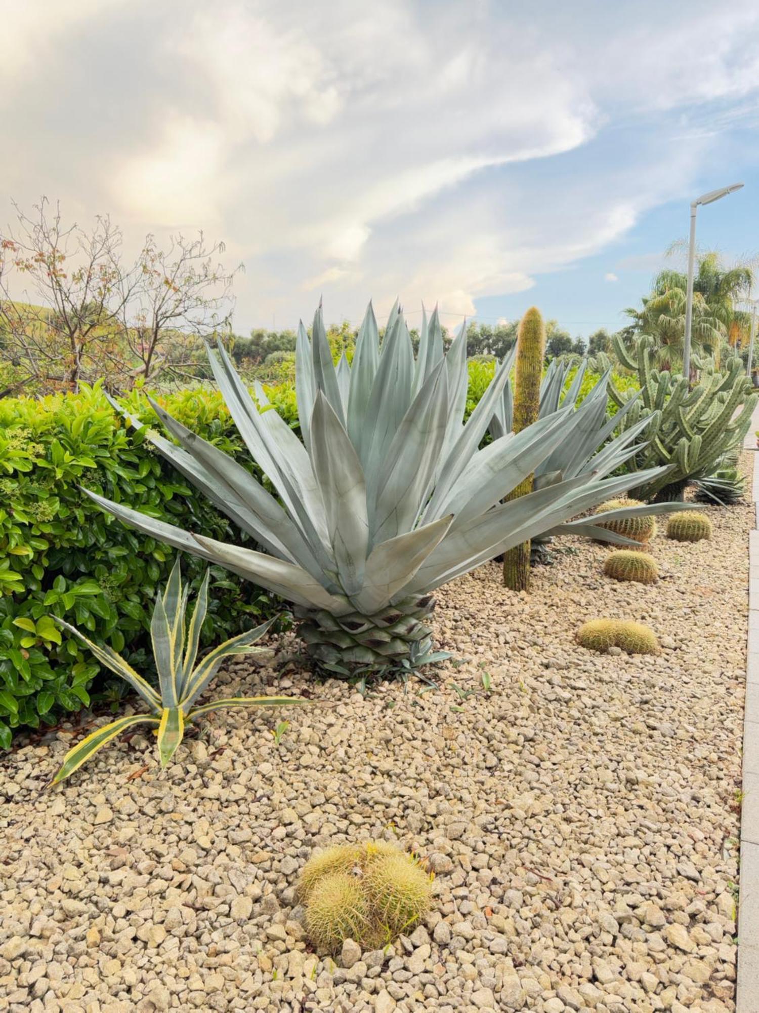 Farm stay Landolina Noto